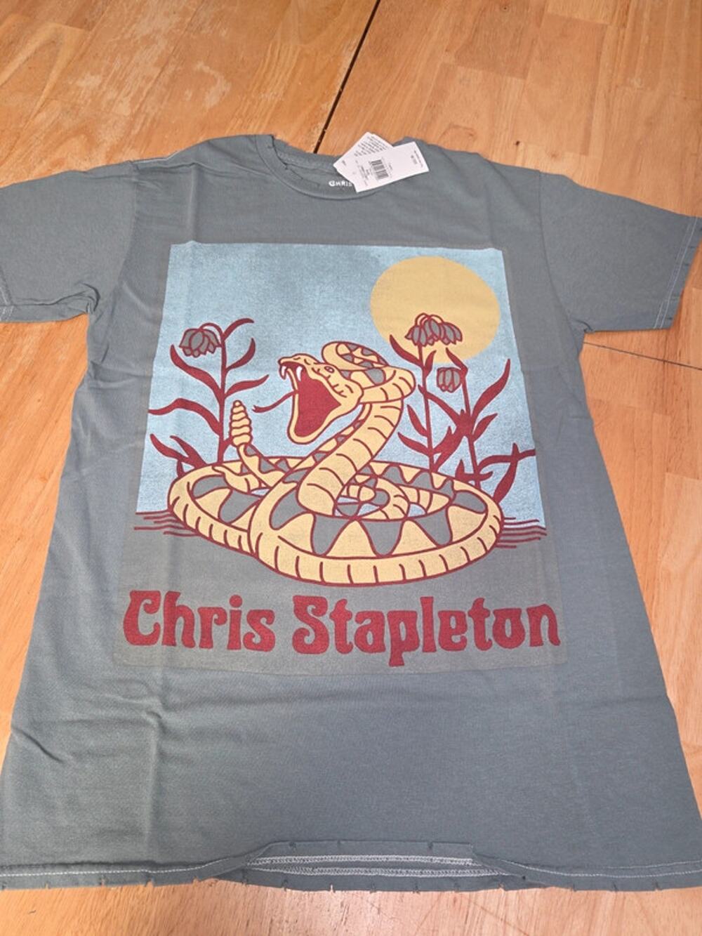 Chris Stapleton Snake Intentional Distressed Graphic T Gray Music Tee NWOT Small
